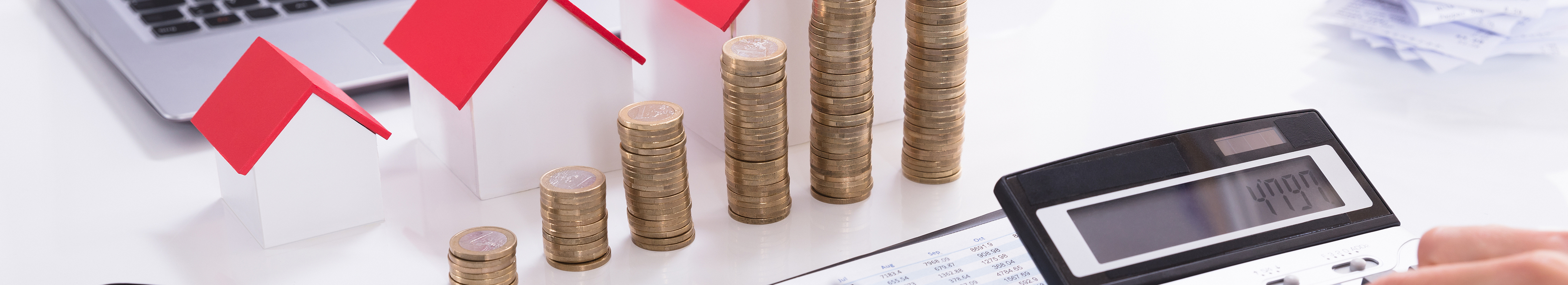 金豪财税_金豪财税企业管理有限公司_安平县代理记账_安平县公司注册_安平县注册公司_安平县商标注册_安平县财务咨询